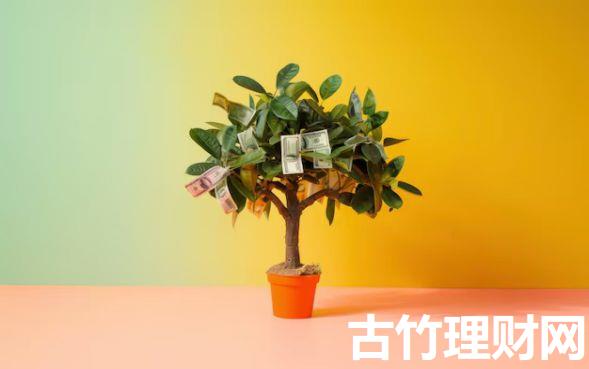 苹果手机黑户小额贷款2025年多数人不知晓！今日分享这5个苹果黑户网贷借款口子