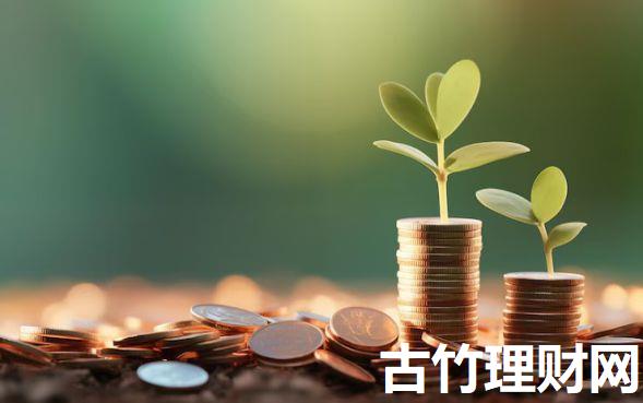 哪个软件黑户也可以贷款吗2025年必备选平台干货！精选包括天竹金选以及盈苗贷呗在内的这五个借钱口子