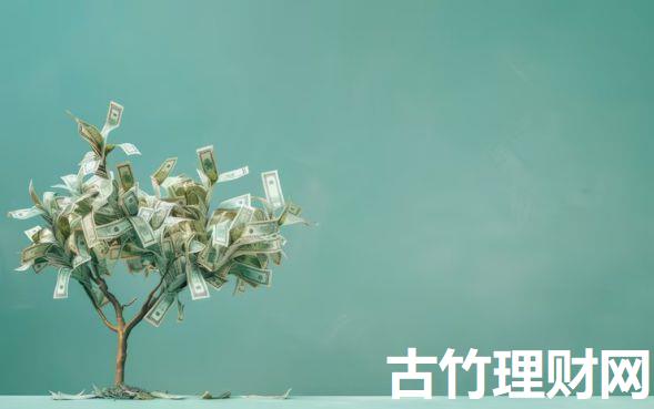 哪个网贷超高通过率高2025年深度解读利率差！顺便挑选贷款平台超高通过率借款