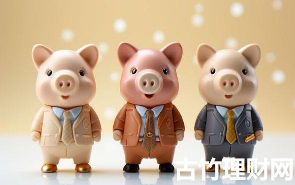 资料少_不看征信贷款2025年速览这5个！本文为您全面归纳！