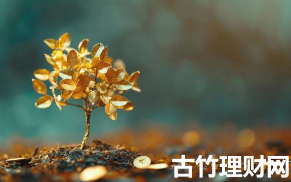 网贷黑户可以继续网贷吗9月探讨这5个！本篇为您详细讲述！